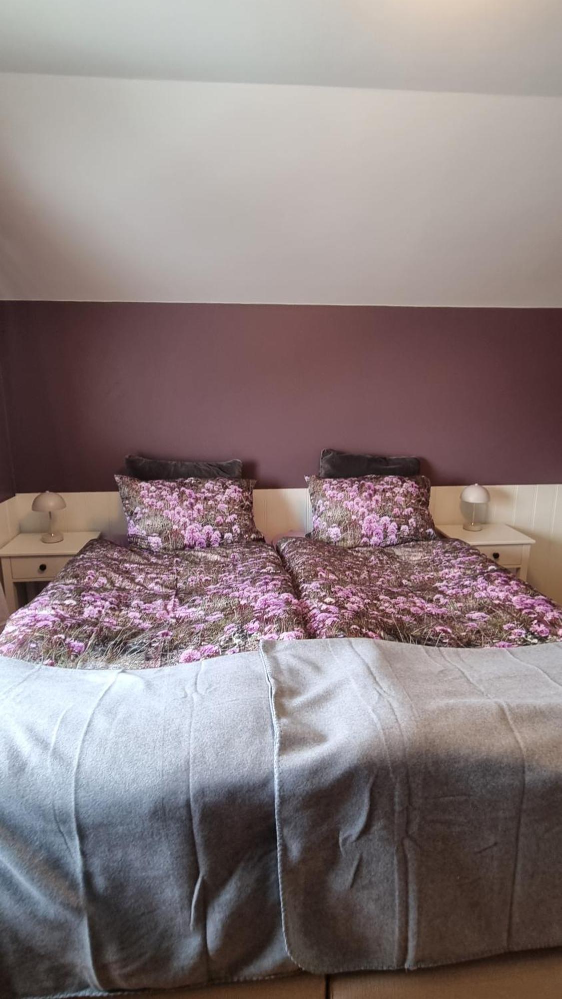 Fornilaekur Guesthouse Blonduos Luaran gambar