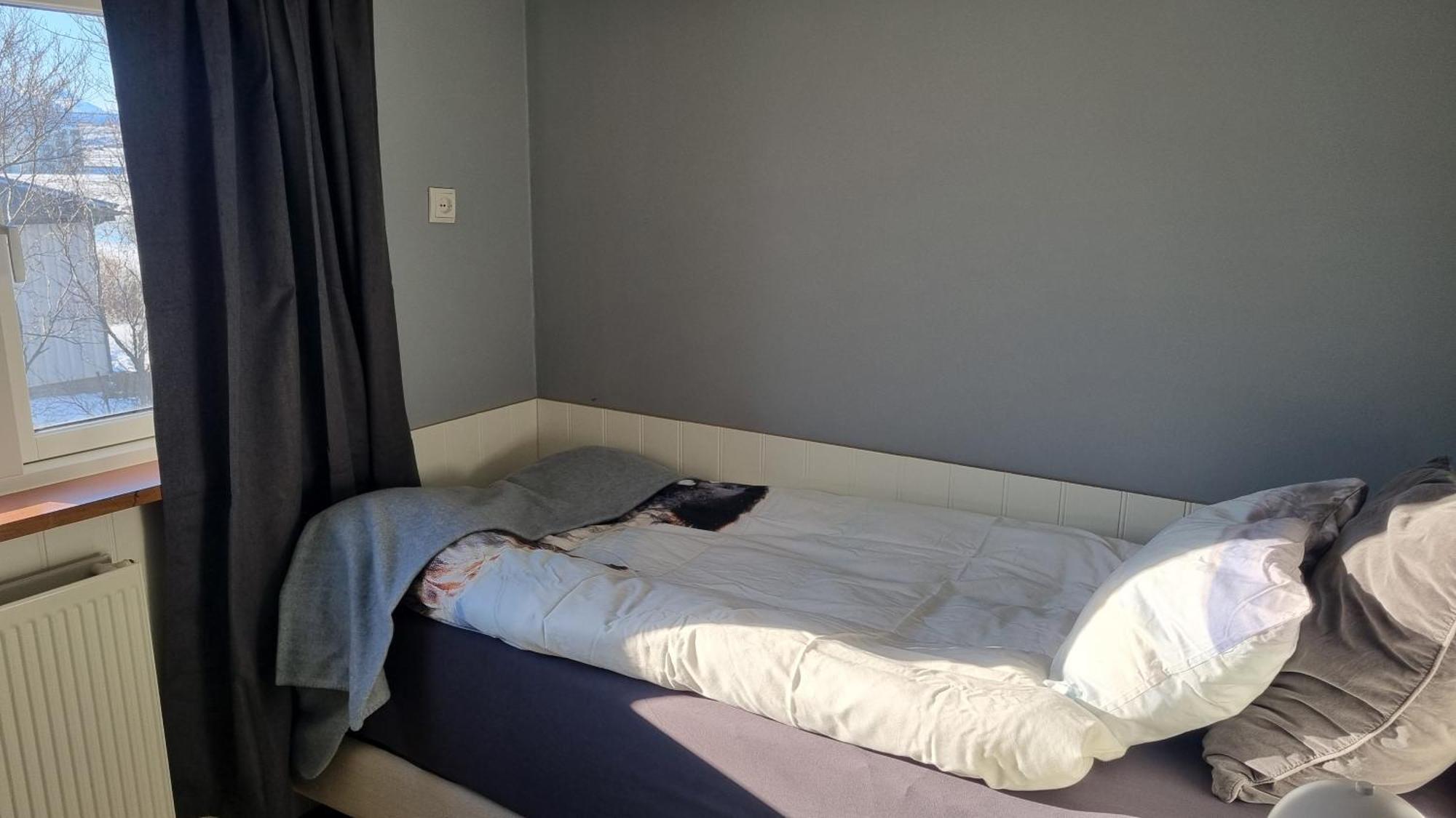 Fornilaekur Guesthouse Blonduos Luaran gambar